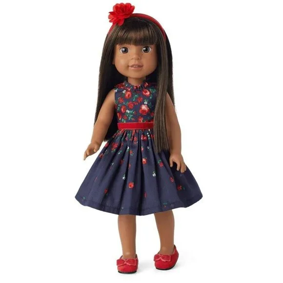 American Girl | Toys | American Girl Janie Jack Welliewishers Wrapped In  Roses Party Dress Outfit New | Poshmark